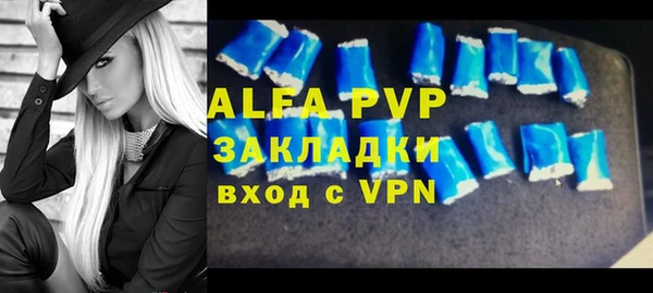 PSILOCYBIN Валуйки