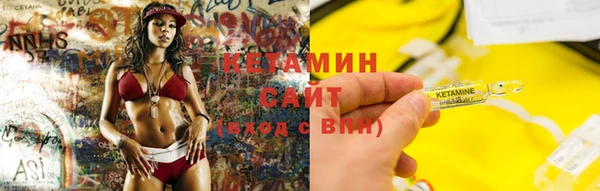 амф Гусь-Хрустальный