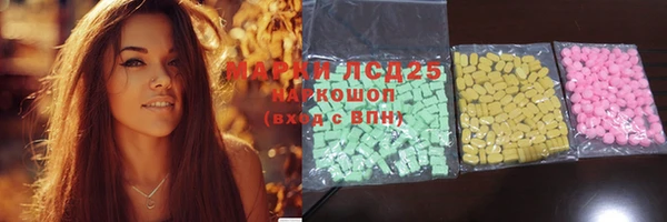 амф Гусь-Хрустальный