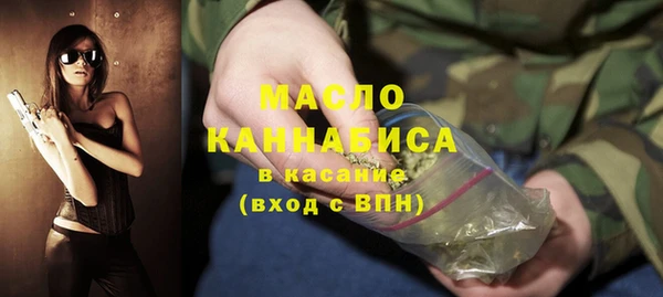амф Гусь-Хрустальный