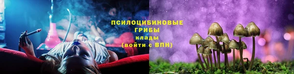 прущие грибы Валдай