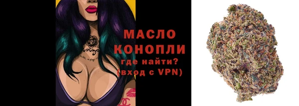 амф Гусь-Хрустальный