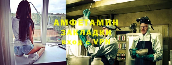 амф Гусь-Хрустальный