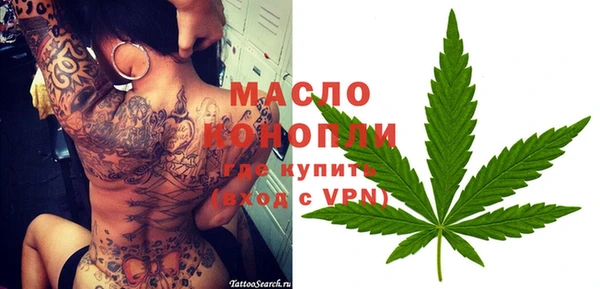 амф Гусь-Хрустальный