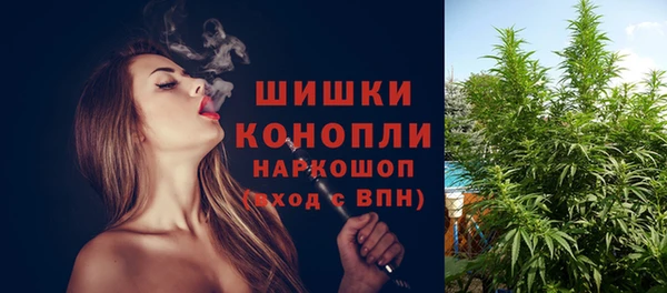 амф Гусь-Хрустальный