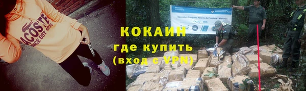 амф Гусь-Хрустальный